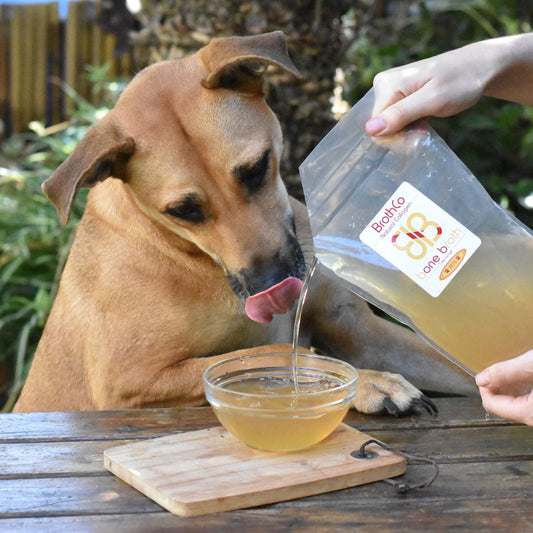 dog licking lips while looking at bone broth for pets