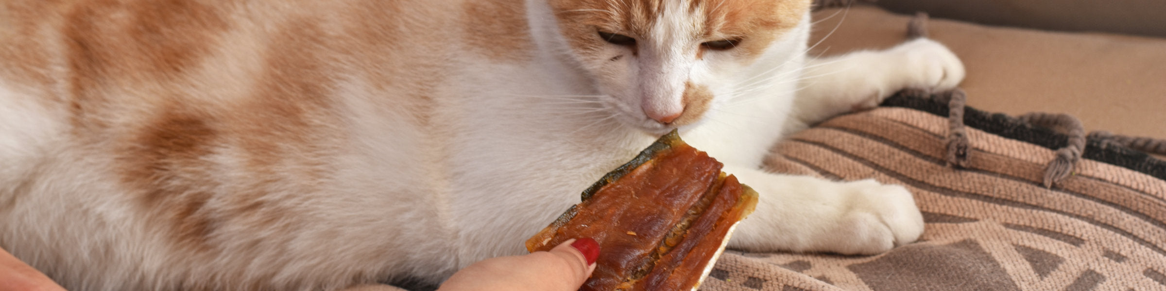 Cat Treats