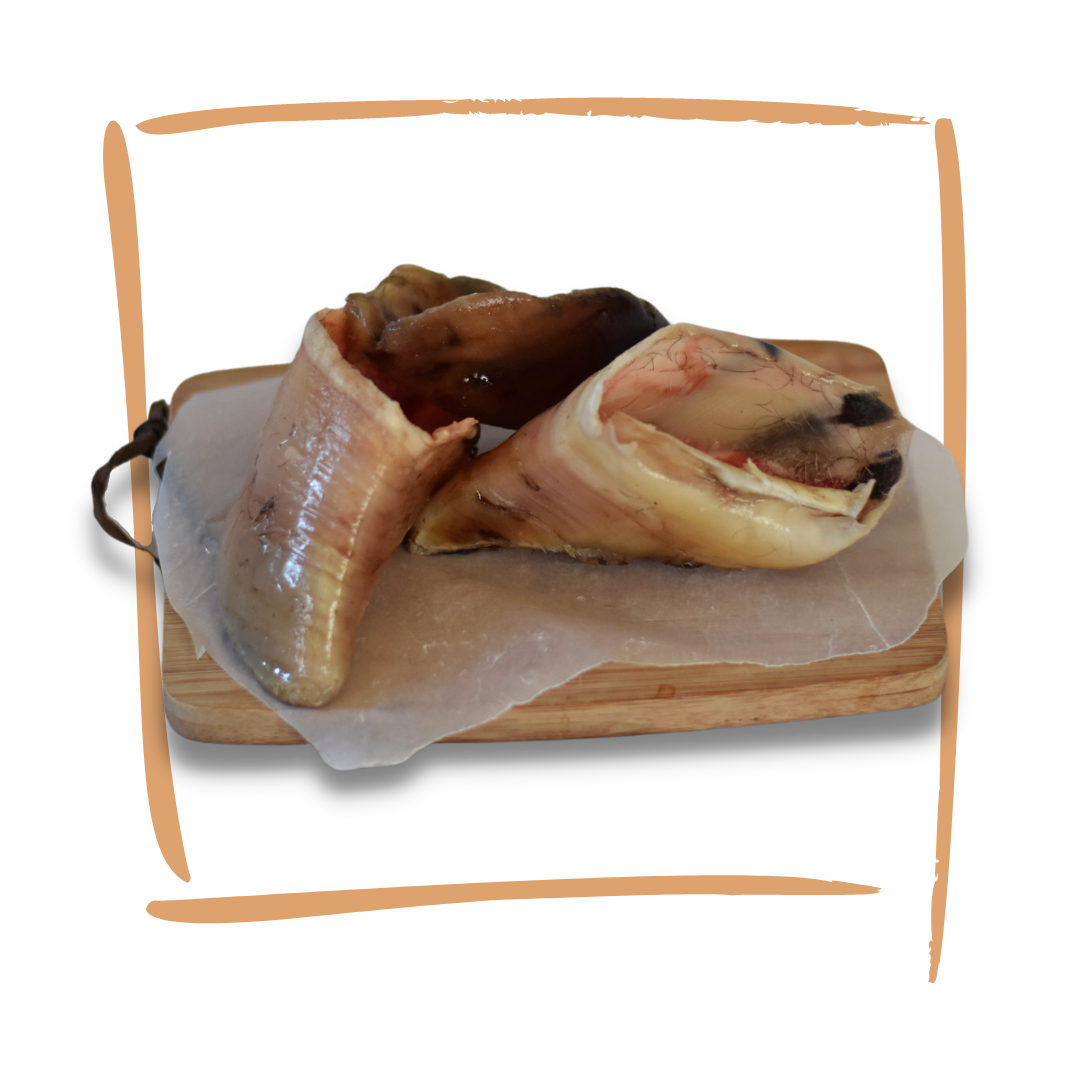 Raw Untrimmed Hoof