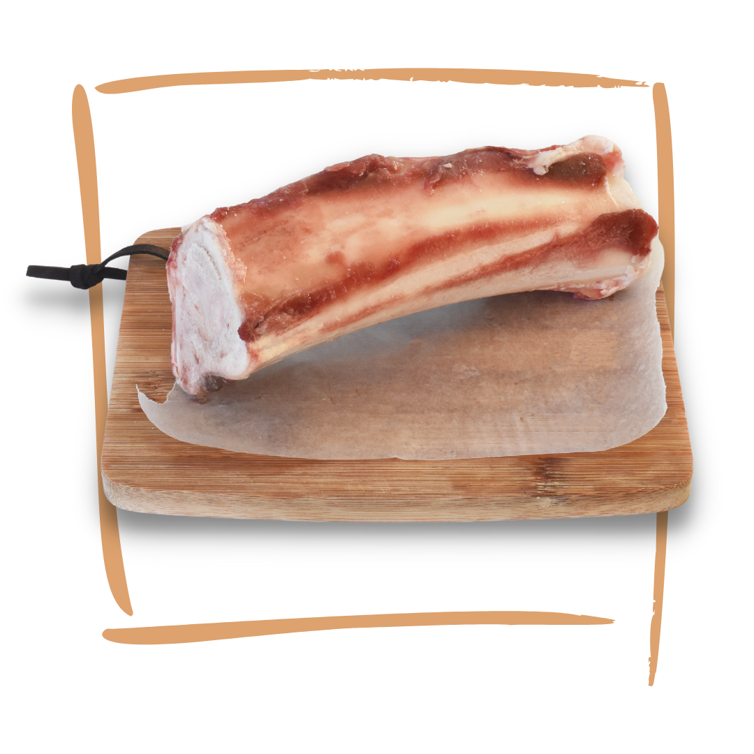 Marrow Bone RawFedPets Marrow Bone RawFedPets
