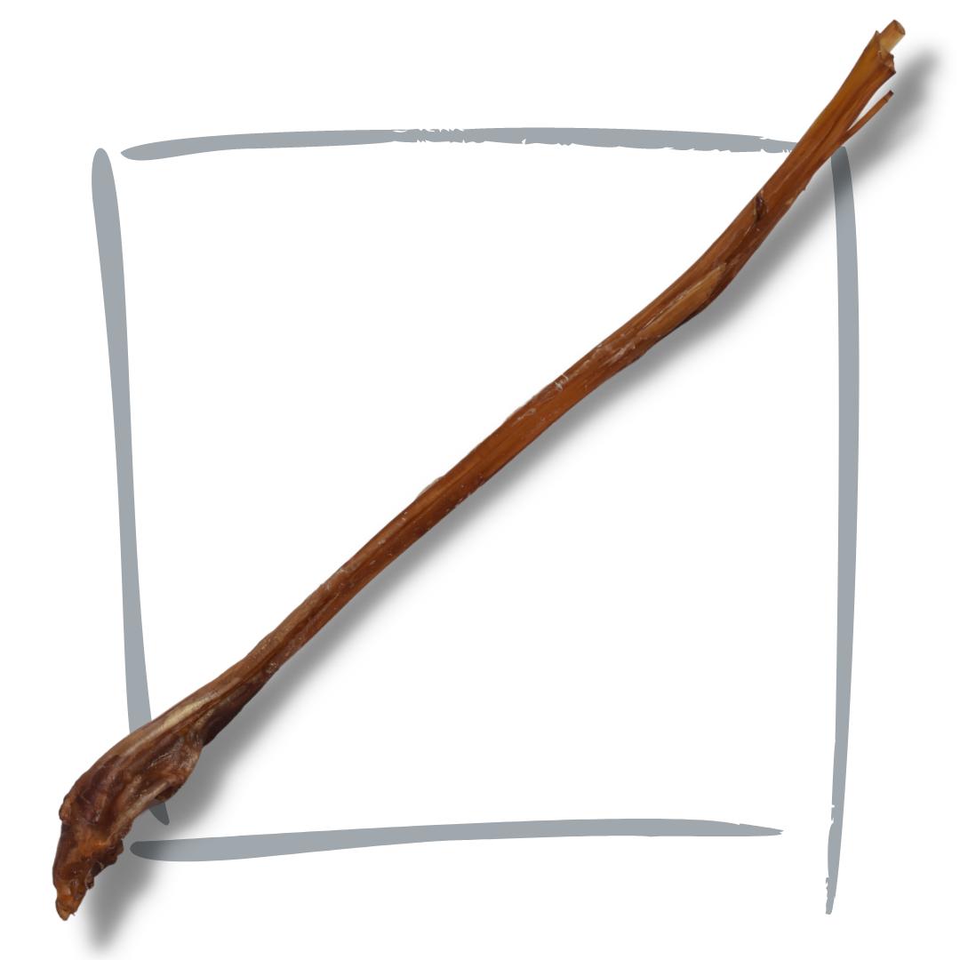 Ostrich Knopkerrie dog treat