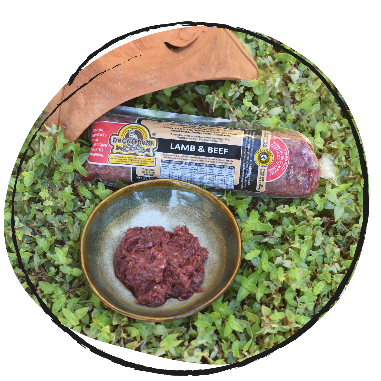 Doggobone Raw Dog Food lamb and beef Meal 500g in a garden