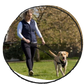 Halti training dog lead walking 