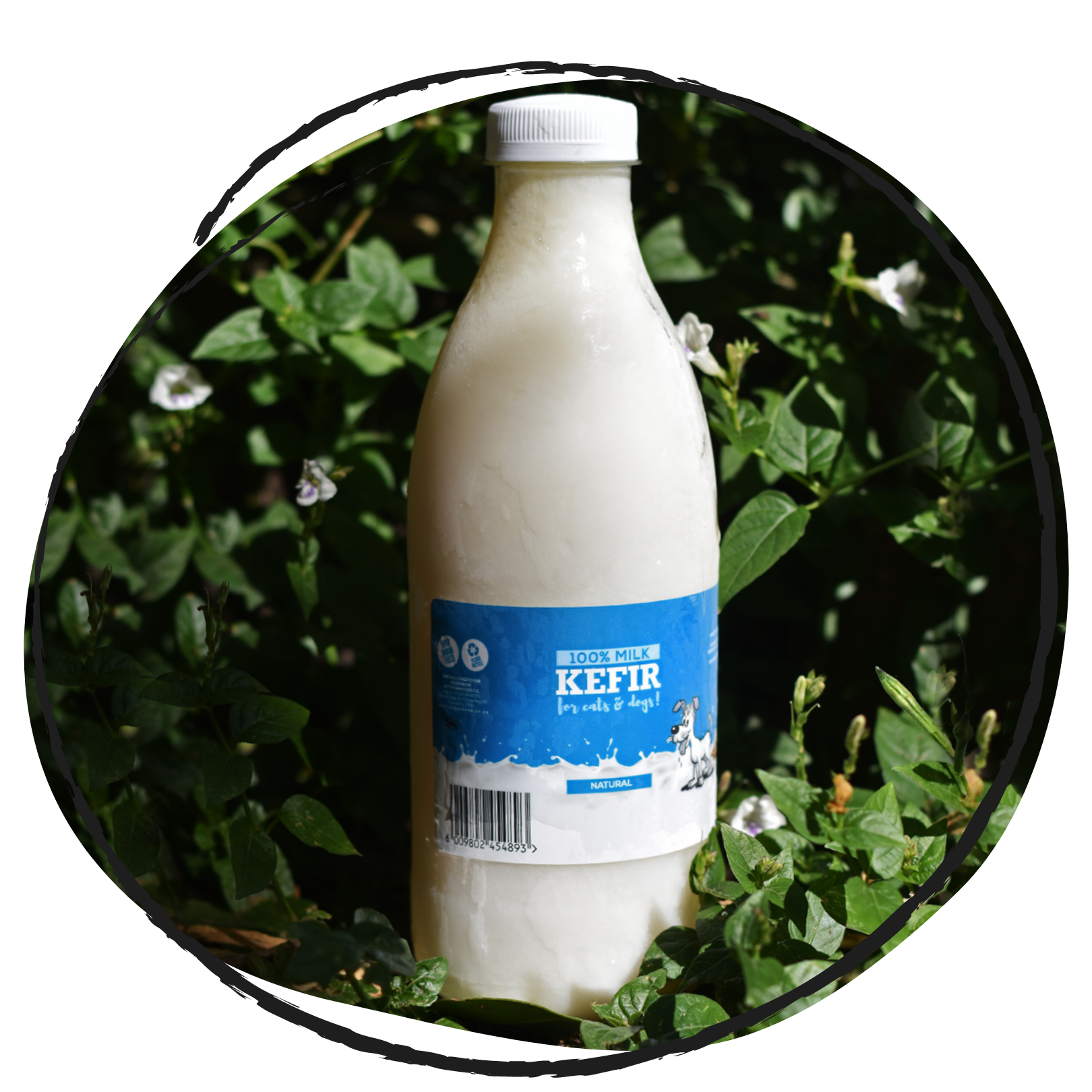 Doggobone Pet Kefir 1 outdoor garden