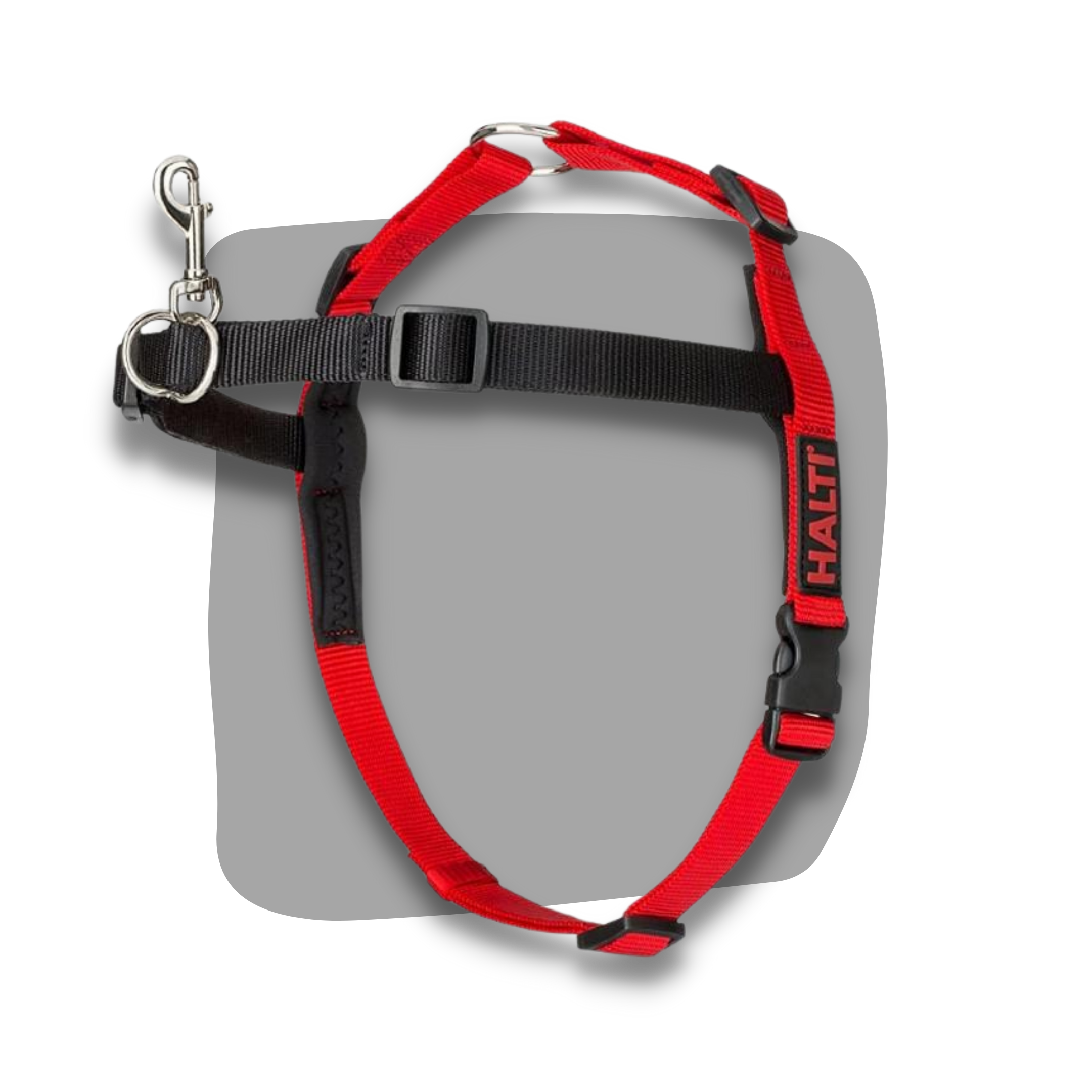 Halti front best sale fastening harness