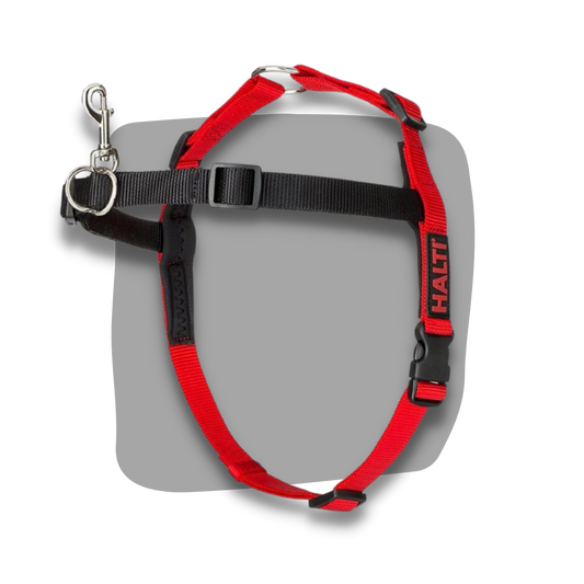 Halti front control dog training harness