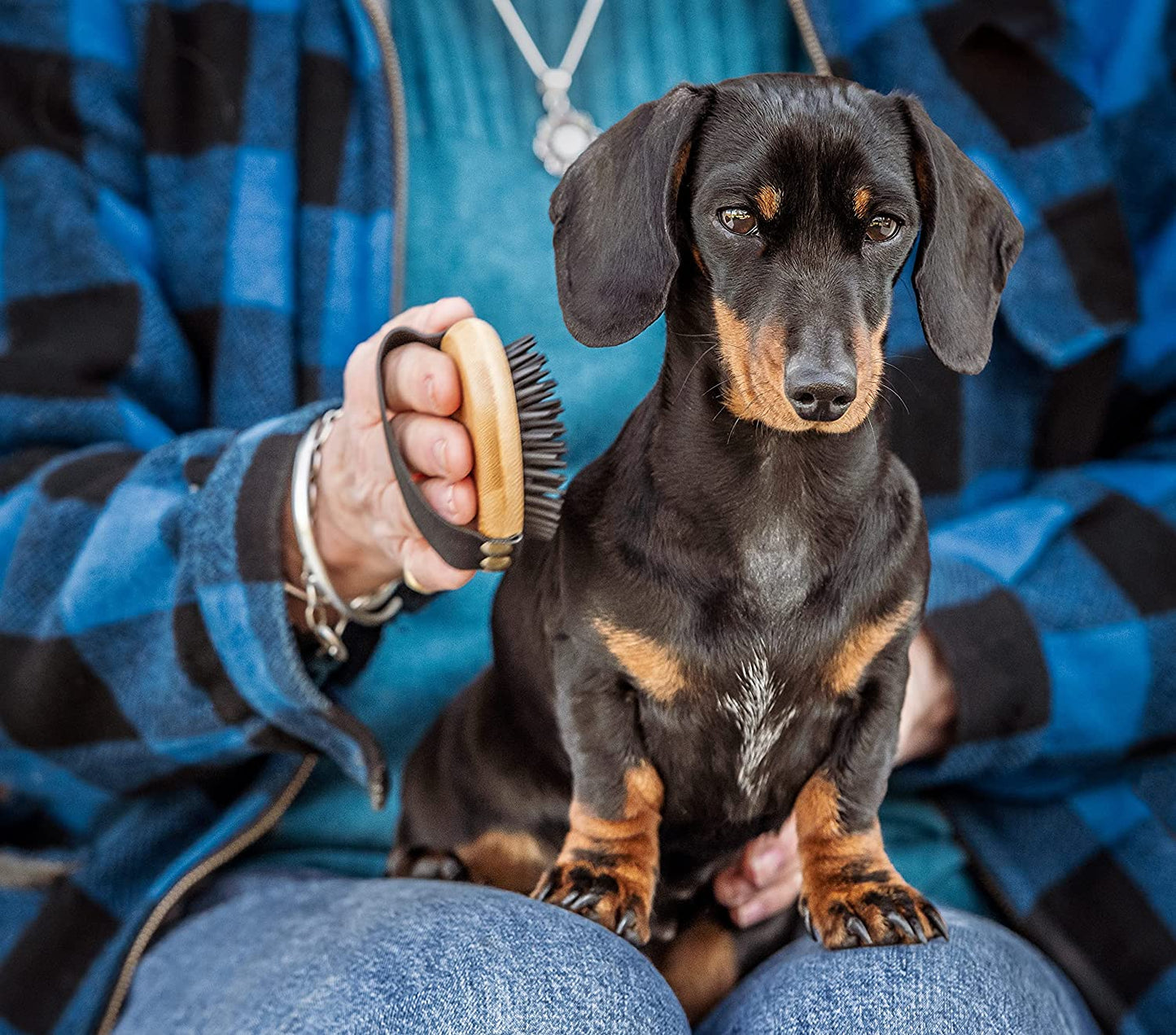 Miki Bamboo Palm Dog Hair Brush dachshund