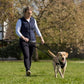 Halti no pull dog training harness walking a dog