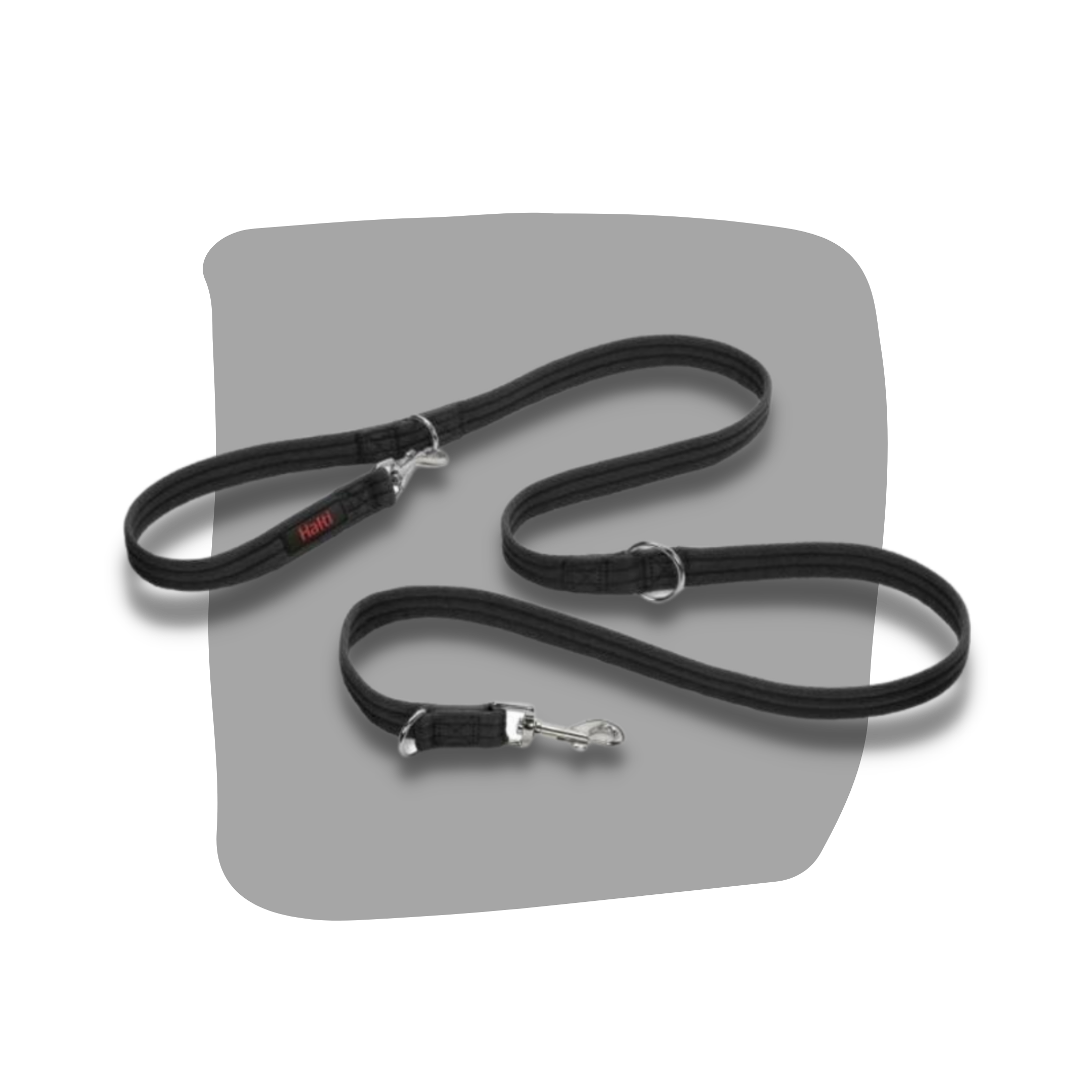 Dog 2024 halti petbarn