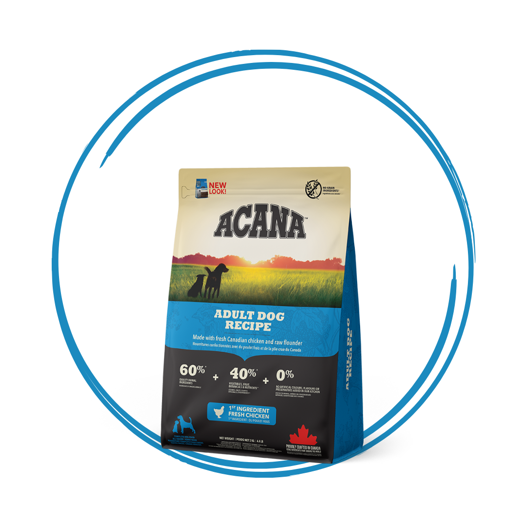 Acana Adult Dog Food