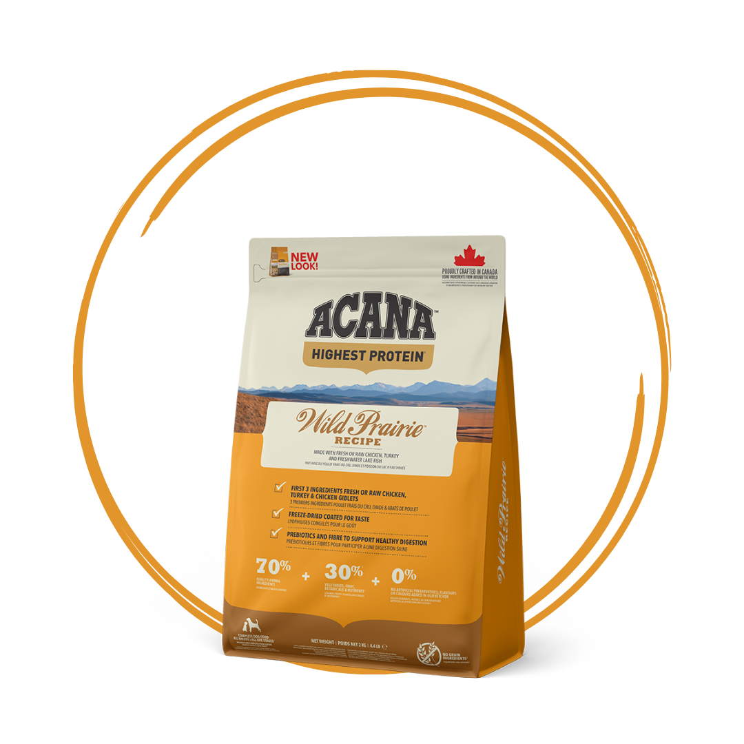 Acana highest protein wild prairie dog food 2kg