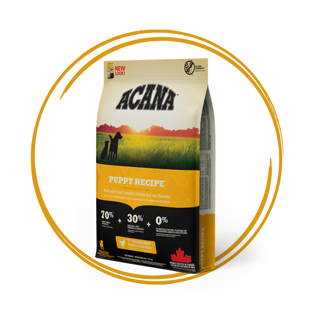 Acana Puppy Dog Food RawFedPets