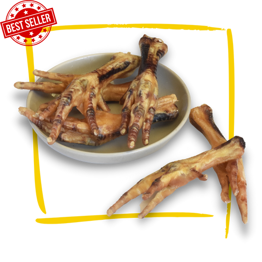 dried chicken feet dog chew treat pack of six