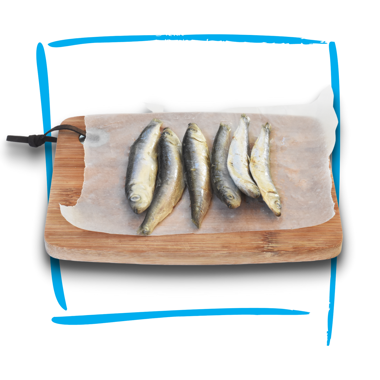 Doggobone Anchovies Raw Pet Food 200g