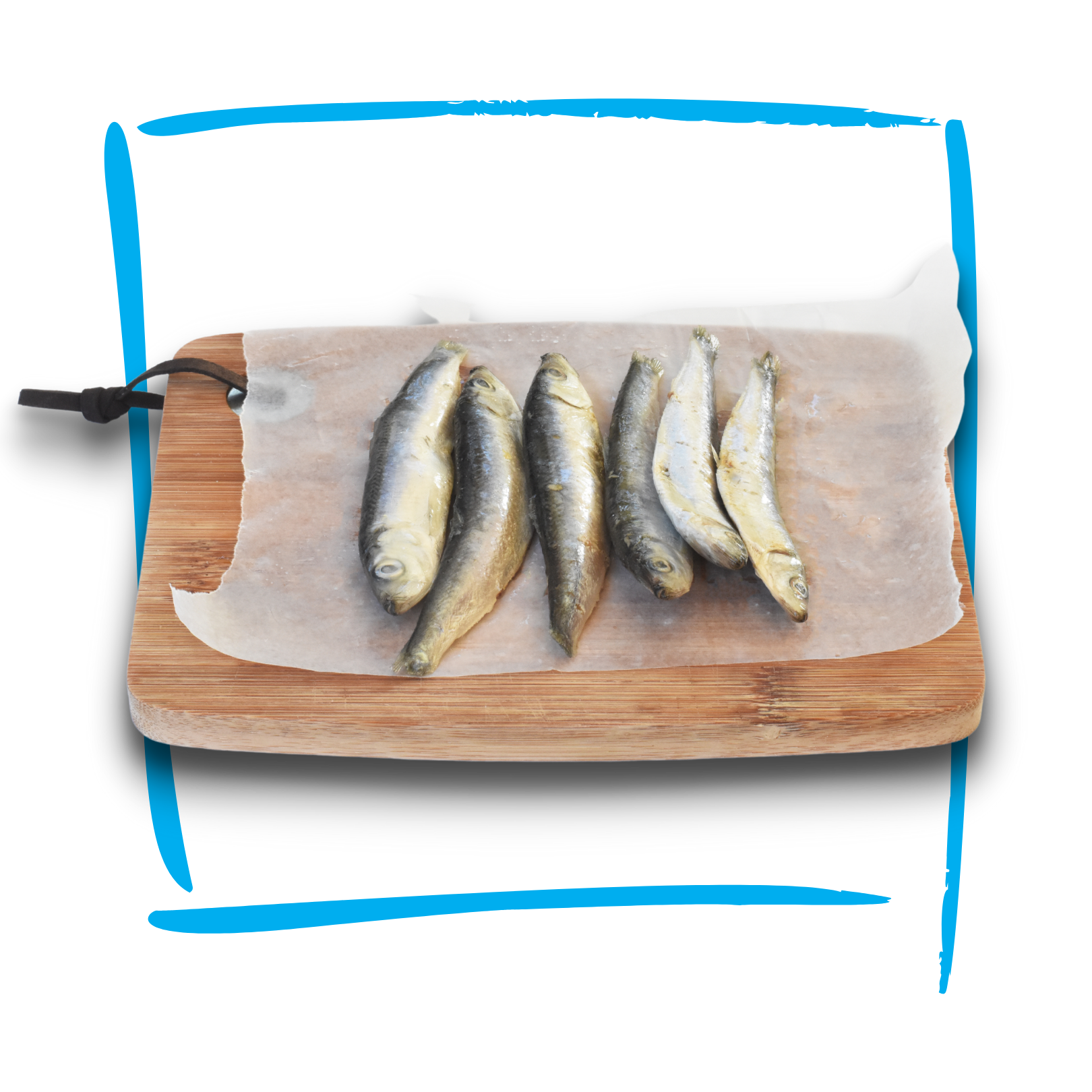 Doggobone Anchovies Raw Pet Food 200g