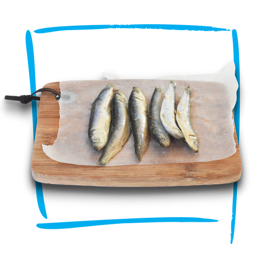 Doggobone Anchovies Raw Pet Food 200g