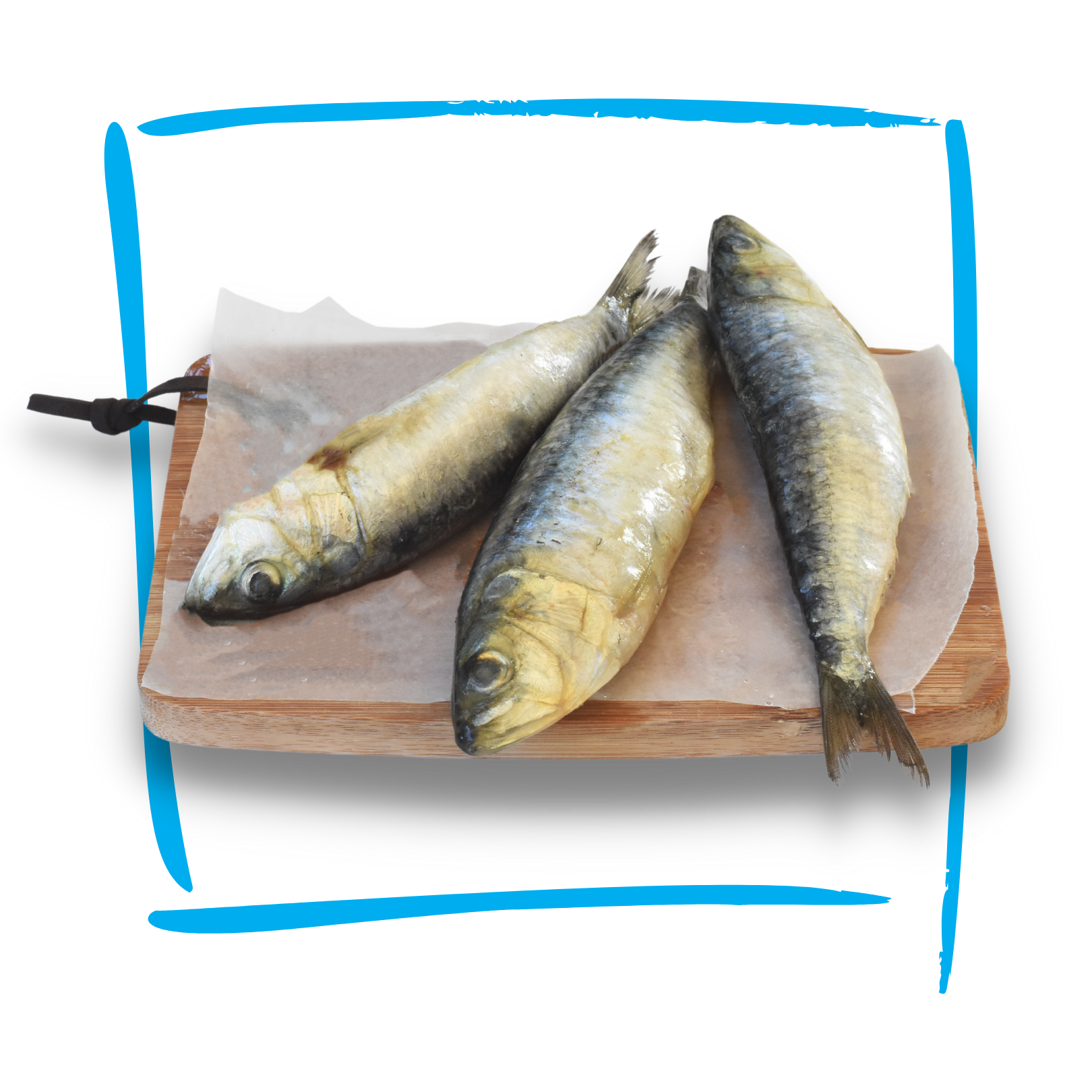 Sardines 600g RawFedPets