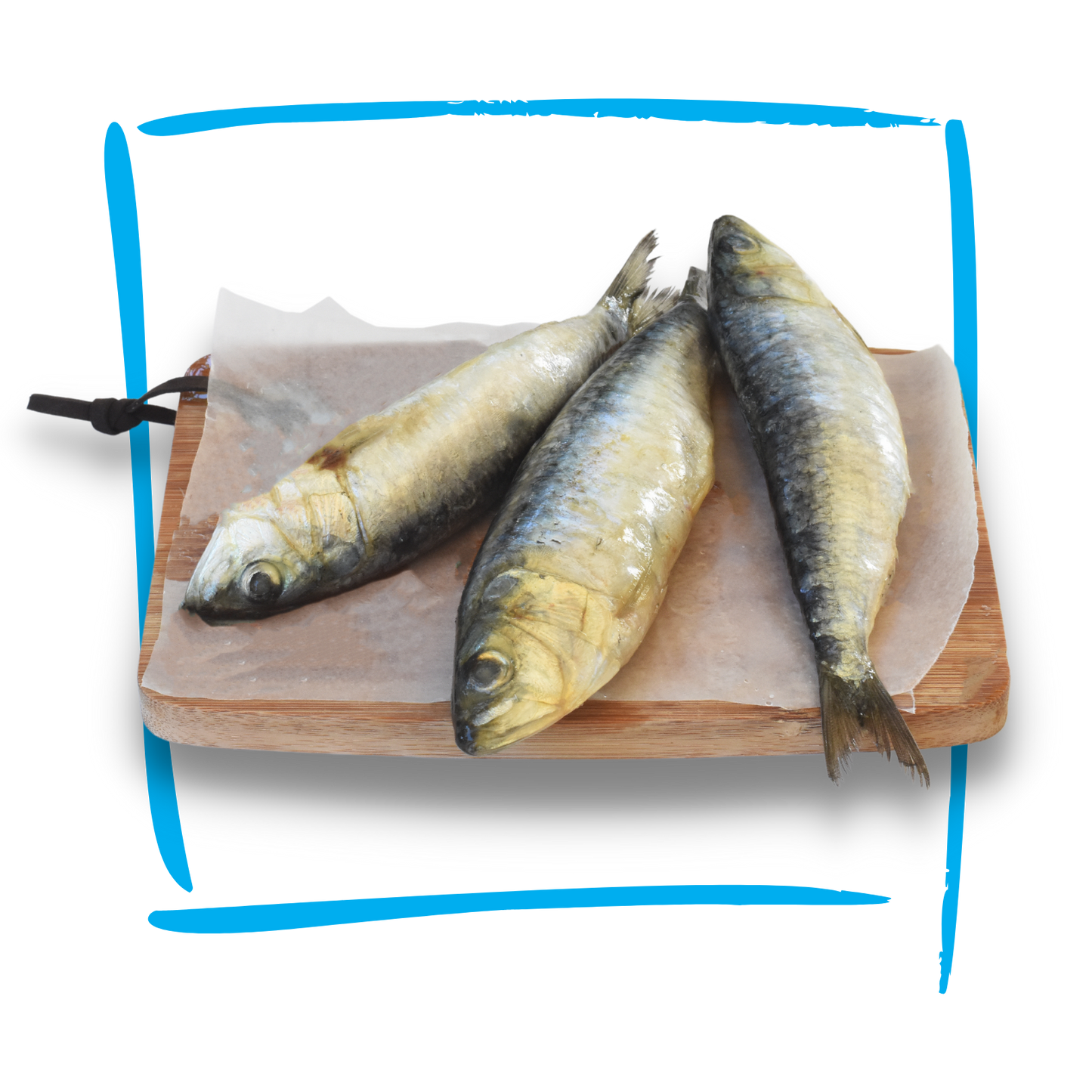 Doggobone whole raw pet food sardines pilchards