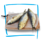 Doggobone whole raw pet food sardines pilchards