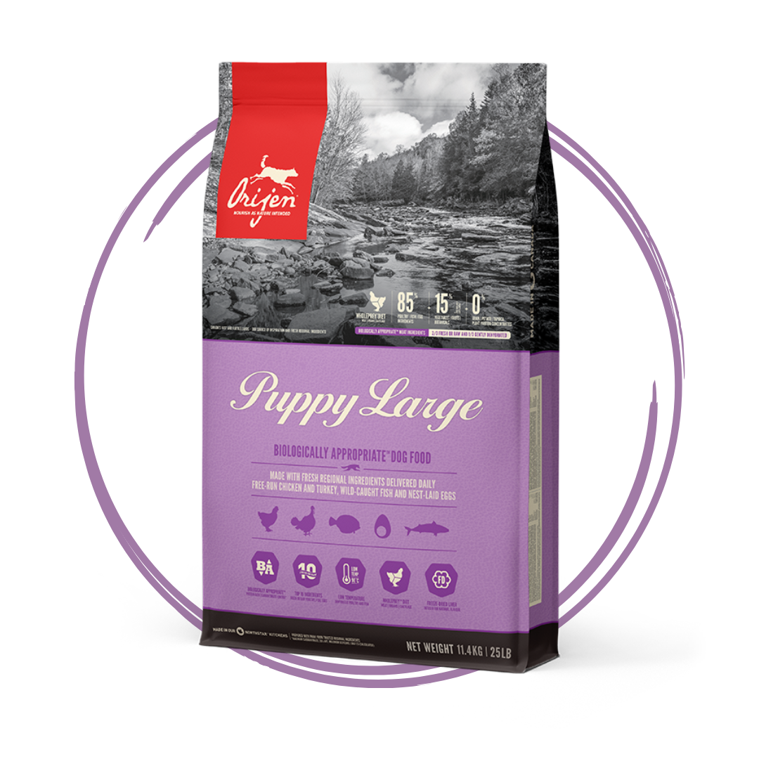 Orijen Large Breed Puppy Biologically Appropriate Dog Food 11.4kg