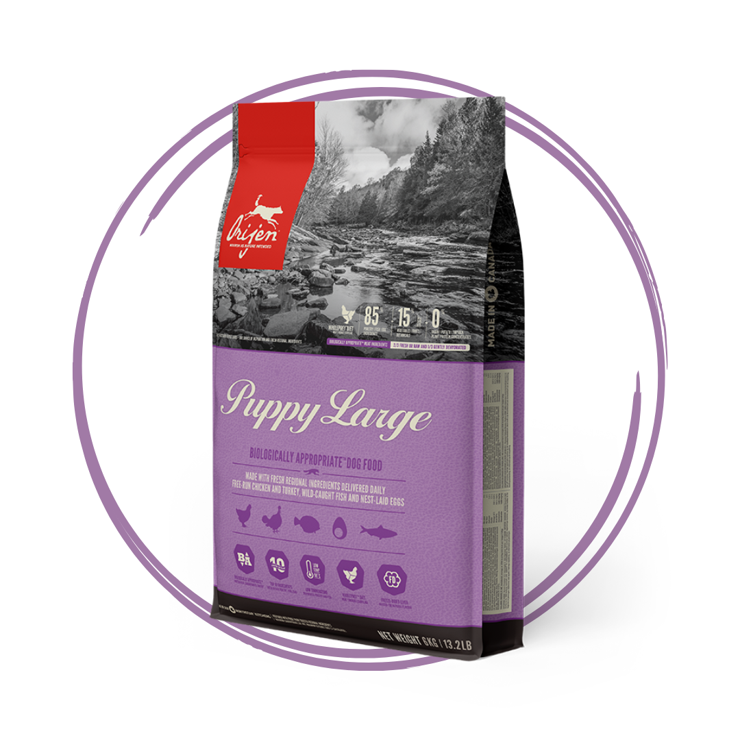 Orijen Large Breed Puppy Biologically Appropriate Dog Food 6kg