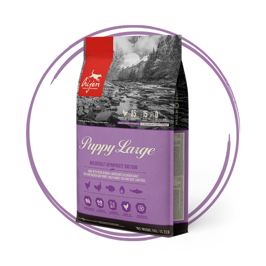 Orijen Large Breed Puppy Biologically Appropriate Dog Food 6kg