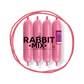 Primal Raw Rabbit Mix Minis (4x250g)
