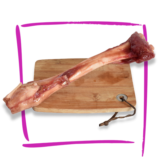 Giant Venison bone for dogs