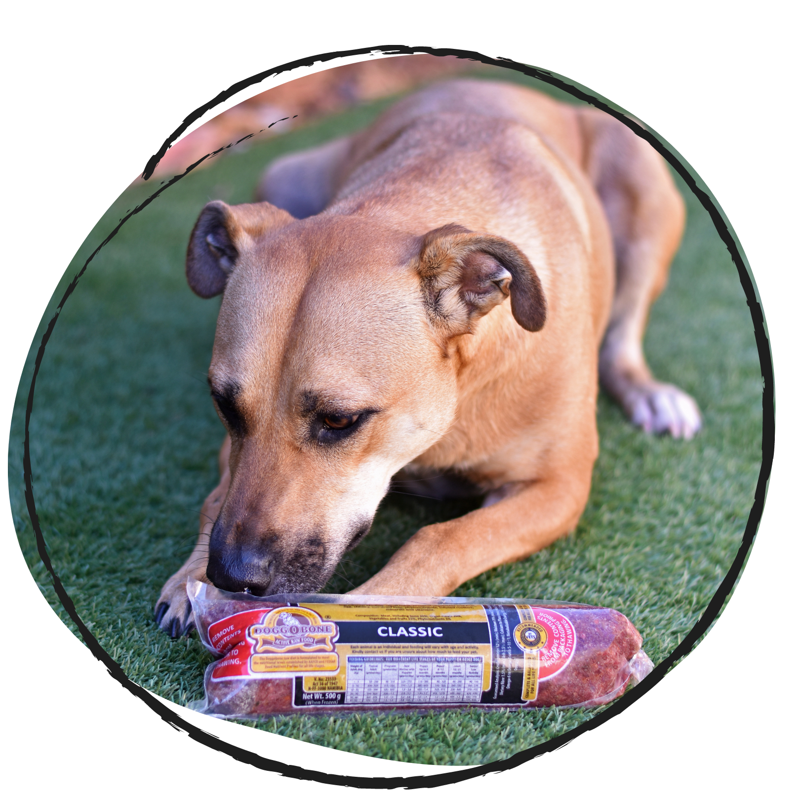 Doggobone top raw food