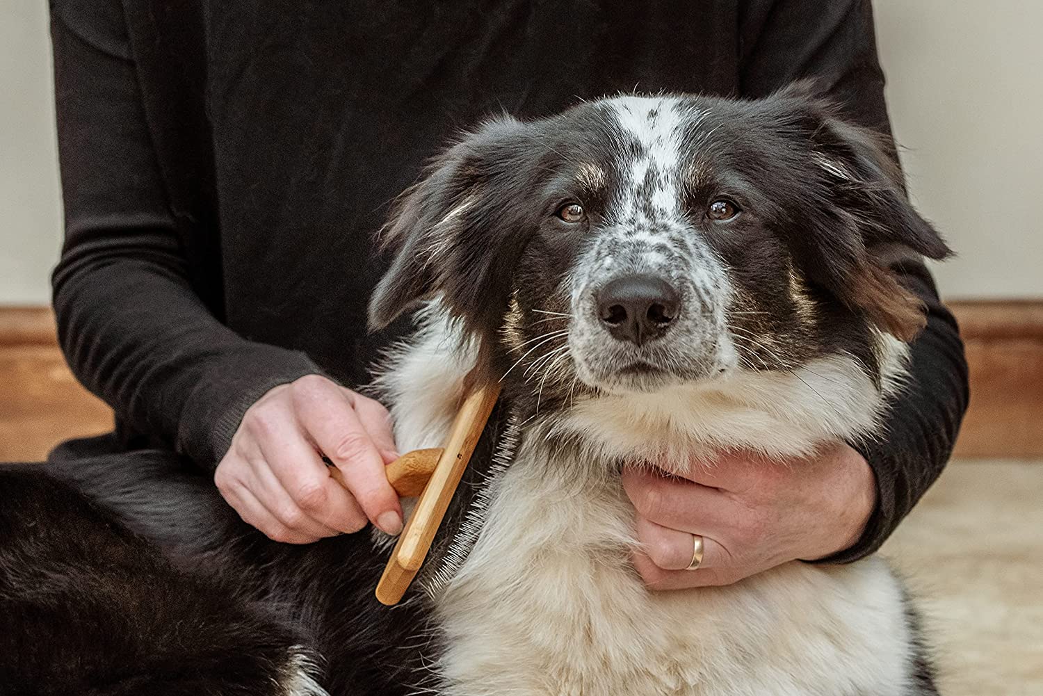 Dog brush for border collie best sale