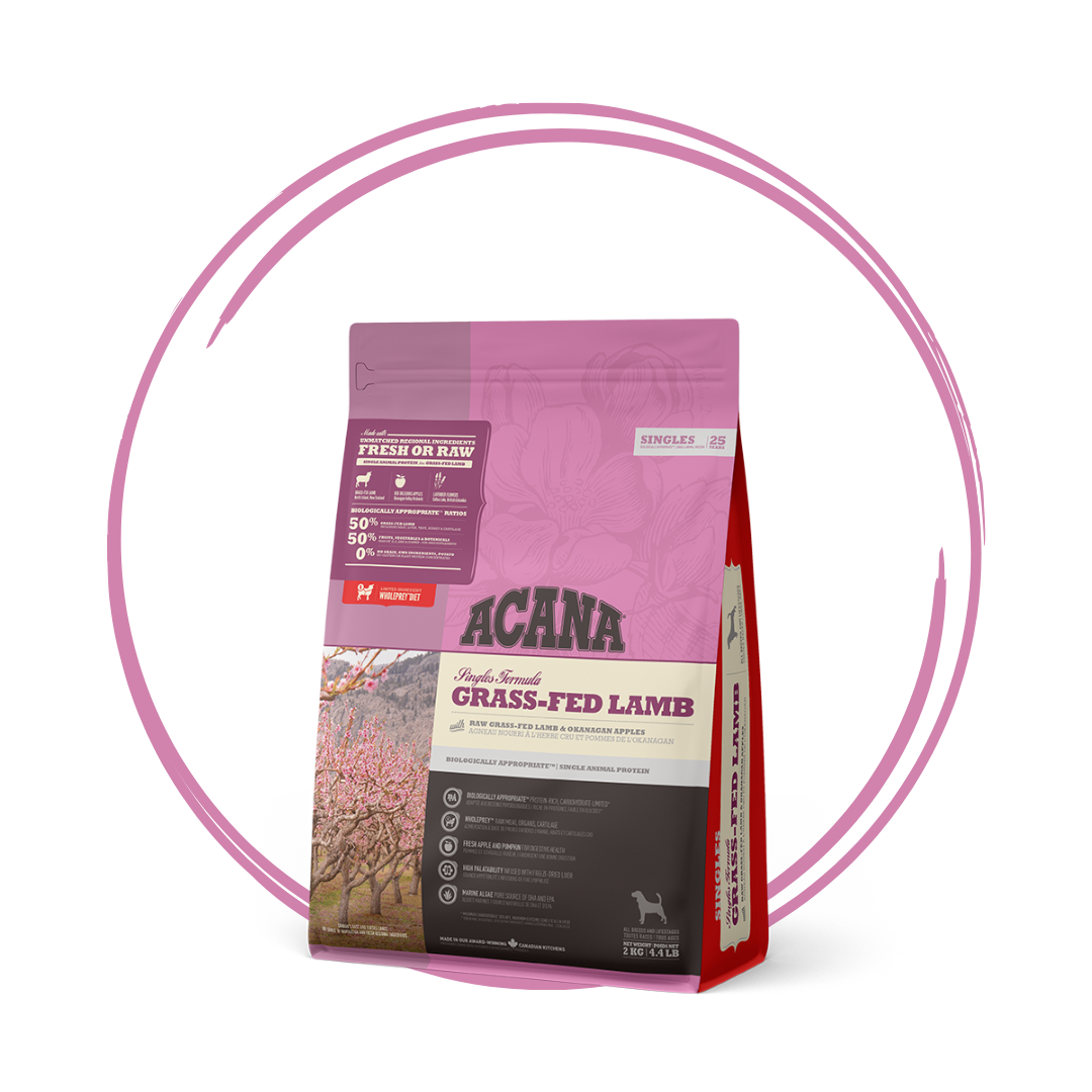 Acana grass fed lamb 17 kg clearance