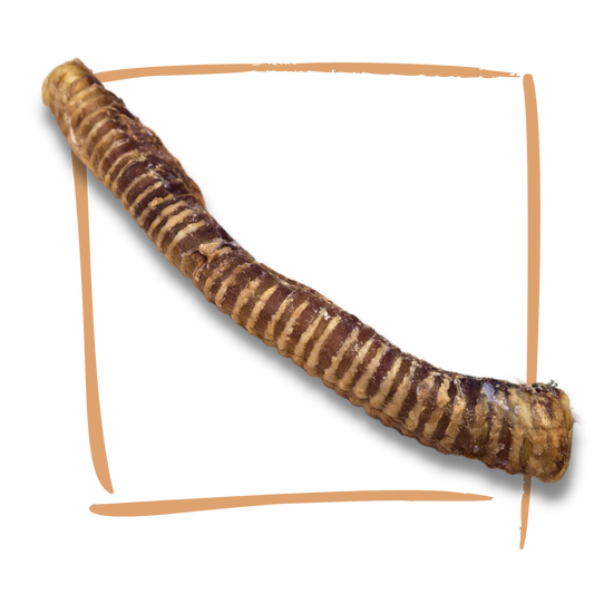 Lekker Barkery Beef Trachea