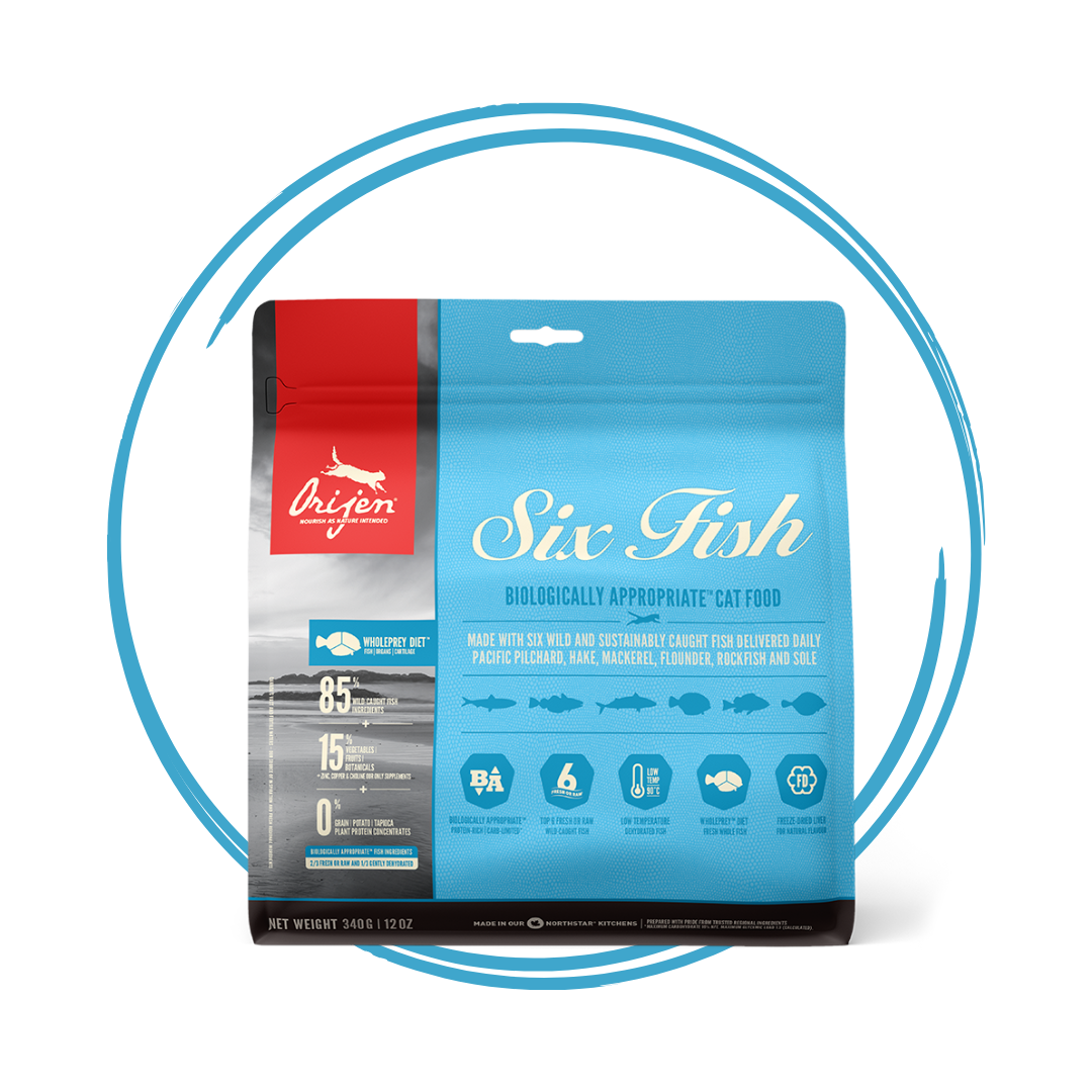 Six fish cat sales food