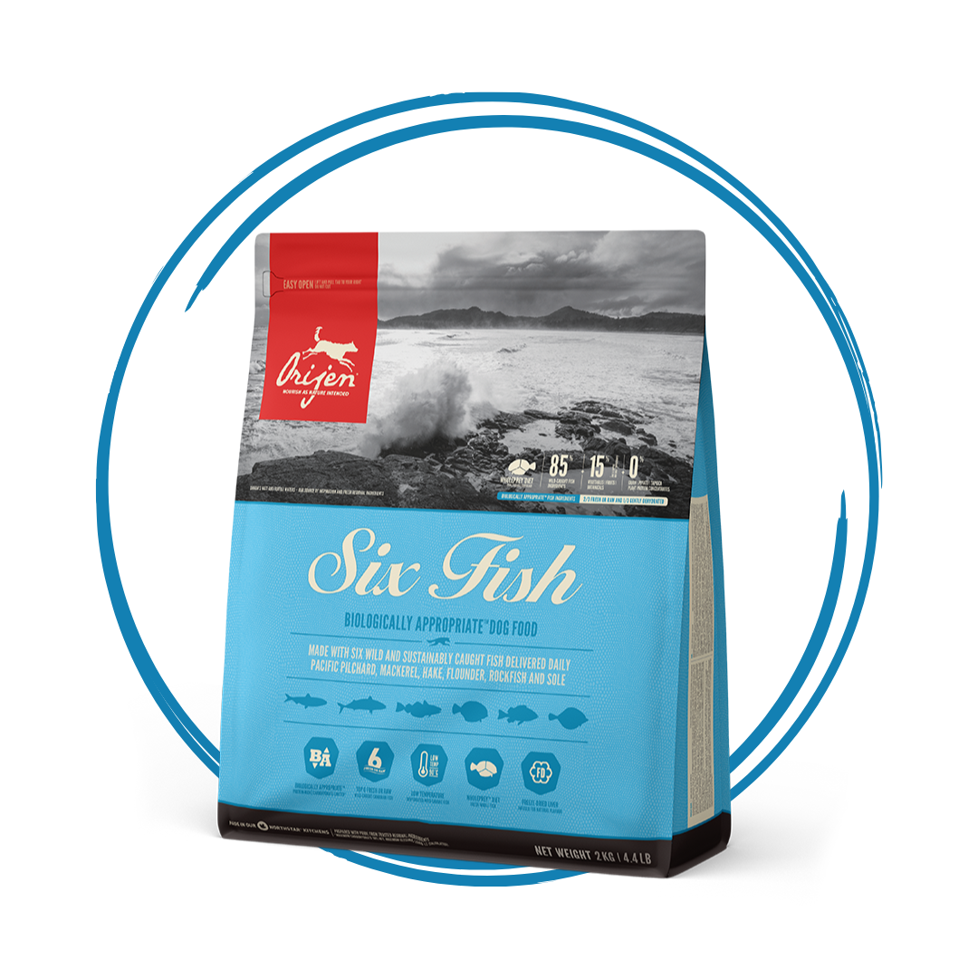 Orijen Six Fish Dog Food – RawFedPets